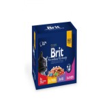 Brit Premium, Hrana Umeda Pentru Pisici, 12 Plicuri x 100 gr
