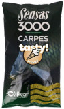 Cumpara ieftin Sensas Hrană 3000 Carp Tasty 1kg Scopex