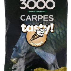 Sensas Hrană 3000 Carp Tasty 1kg Scopex