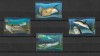 ROMANIA 2022 - FAUNA PROTEJATA DIN MAREA NEAGRA, MNH - LP 2366, Nestampilat