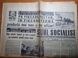 Satul socialist 1 iunie 1972-articol timisoara,jud. salaj,buzau