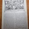albina carpatilor 20 octombrie 1877-razboiul de independenta,moartea lui asan