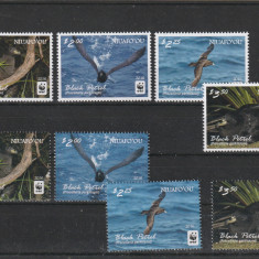 Niuafo'ou 2016-Fauna,Pasari,Petrelul negru,serie 8 val.complecta,MNH,Mi.607-614