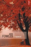 Cumpara ieftin Copacul, John Fowles - Editura Polirom