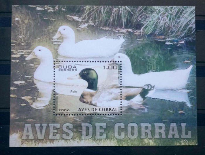 Cuba 2006 pasari fauna rate colita neștampilată