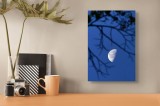 Tablou Canvas, "Luna printre crengile &icirc;nserării", Lună, Cer, Ramuri, Noapte, Albastru, Claritate, Natură, Siluetă, 26 x 39 cm, CMCLASS