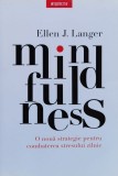 Mindfulnes - Mindfulnes ,560466, 2020