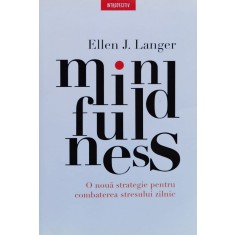 Mindfulnes - Mindfulnes , A933