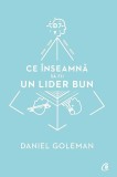 Ce inseamna sa fii un lider bun | Daniel Goleman, Curtea Veche, Curtea Veche Publishing