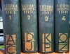 Dictionarul enciclopedic roman, vol 1-4