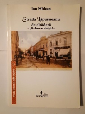 Ion Mitican - Strada Lăpușneanu de altădată: plimbare nostalgică (2002) foto