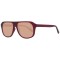 Ochelari de Soare Bărbați Serengeti SS535004 57