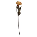 Cumpara ieftin Floare artificiala verde portocalie 10x10x65 cm