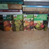 GHIDUL GRADINARULUI AMATOR * 4 VOL. : CULTURA LEGUMELOR + POMILOR + VITEI DE VIE + FLORILOR , 1975-1977 #