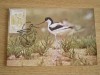 C12 - maxima Romania - tematica pasari 33 - prima zi a emisiunii sau expozitii, Romania de la 1950, Fauna