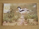 C12 - maxima Romania - tematica pasari 33 - prima zi a emisiunii sau expozitii, Romania de la 1950, Fauna