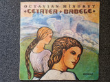 CETATEA BABELE - Octavian Mandrut (DISC VINIL), Pentru copii