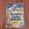Boierul de Romulus Cioflec