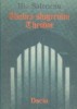 Umbra slugerului Theodor