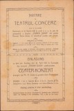 A410 Invitare, 1921, la teatrul-concert din Caransebeș, Elena Zunia