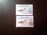Serie Terres Australes et Antarctiques Francaises 1983 - Fauna Pasari - Rate , 2 val.