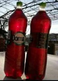Vin roșu de țară