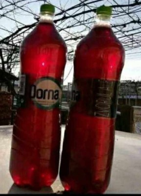 Vin roșu de țară foto