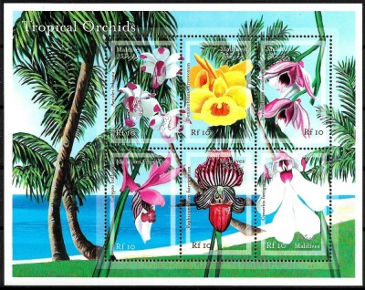 MALDIVES 2000 FLORI ORHIDEE foto