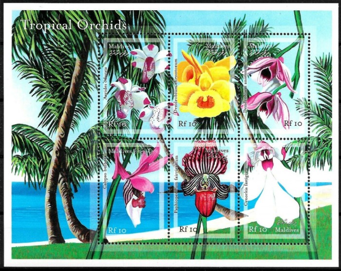 MALDIVES 2000 FLORI ORHIDEE