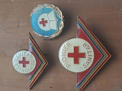 Insigne pionieri foto