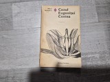 Cazul Eugenitei Costea de Mihail Sadoveanu