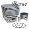 Cilindru Husqvarna K 1250, 3120 Xp, 3120 K, Partner K1250 Hyway