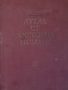 R. D. SINELNIKOV - ATLAS DE ANATOMIE UMANA VOL 2 LIMBA SPANIOLA