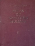 R. D. SINELNIKOV - ATLAS DE ANATOMIE UMANA: VOL 2 LIMBA SPANIOLA