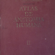 R. D. SINELNIKOV - ATLAS DE ANATOMIE UMANA: VOL 2 LIMBA SPANIOLA