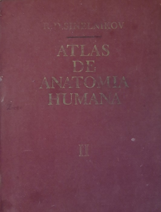 R. D. SINELNIKOV - ATLAS DE ANATOMIE UMANA VOL 2 LIMBA SPANIOLA