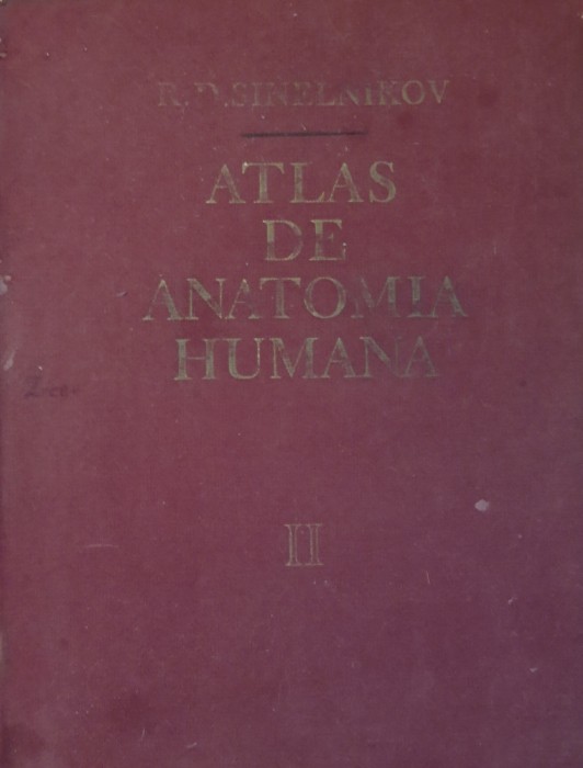 R. D. SINELNIKOV - ATLAS DE ANATOMIE UMANA: VOL 2 LIMBA SPANIOLA