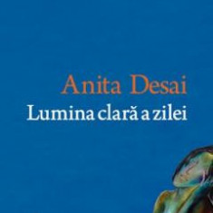 Lumina clara a zilei - Anita Desai