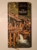 Cornel Irimie; Marcela Necula - L&#039;art paysan du bois en Roumanie (Arta țărănească a lemnului, ediție &icirc;n lb. franceză)