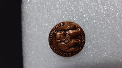 insigna Vanatoare foto