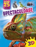 Top 25 animale sălbatice - Spectaculoase 3D - Paperback brosat - Kreativ