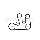 Continental Ctam Set curea transmisie cu caneluri