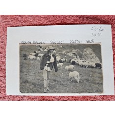 Fotografie, Stana Regala Bucegi Piatra Arsa