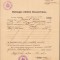 HST A1218 Certificat de moralitate 1940 Oradea
