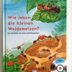 *Carte in limba germana, pentru copii, cu CD, Wie leben die kleinen Waldameisen?