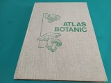 ATLAS BOTANIC * LUCIA POPOVICI, CONSTANTIN MORUZI * 1973 * 4 2 6