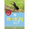 Mi mocorog ott? - B&auml;rbel Oftring