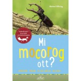 Mi mocorog ott? - B&auml;rbel Oftring