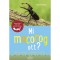 Mi mocorog ott? - B&auml;rbel Oftring