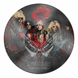 Live In The South America - Picture Vinyl | Guns N&#039; Roses, EVOLUTION